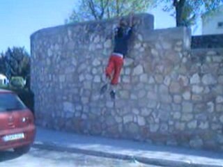 Sampler freeruning moreno 2008