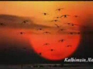 Istanbul ağlıyor ben ağlıyorum