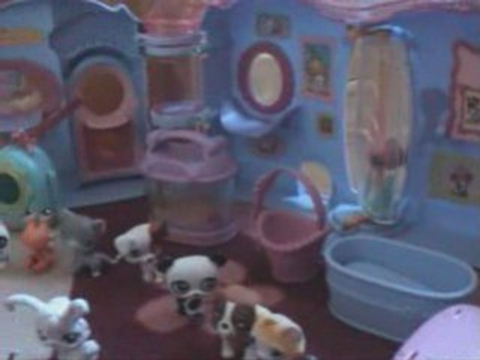 petshop