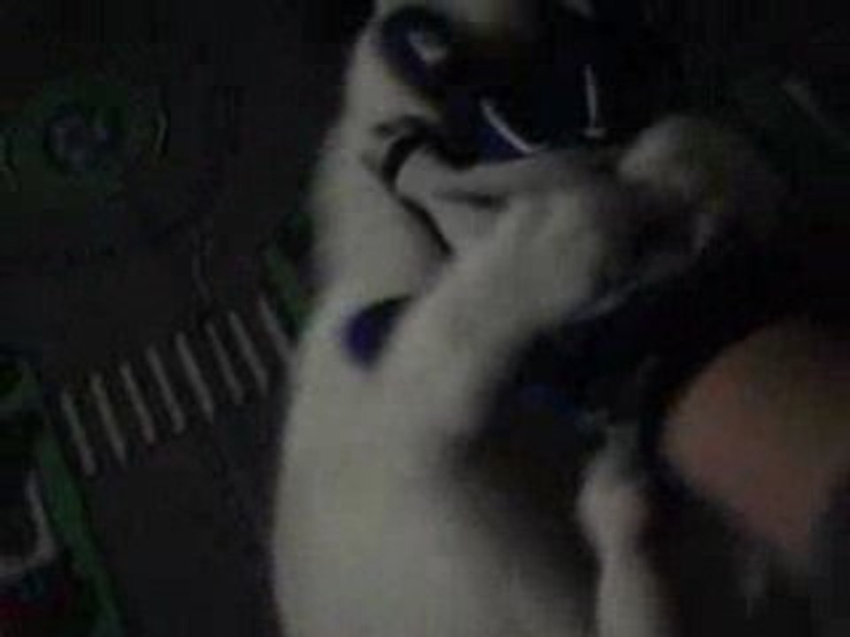 mon chat matou
