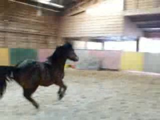 CEM. AMOUR & PRINCESSE en liberté =D