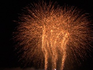 TULLE MEILLEURS VŒUX 2009