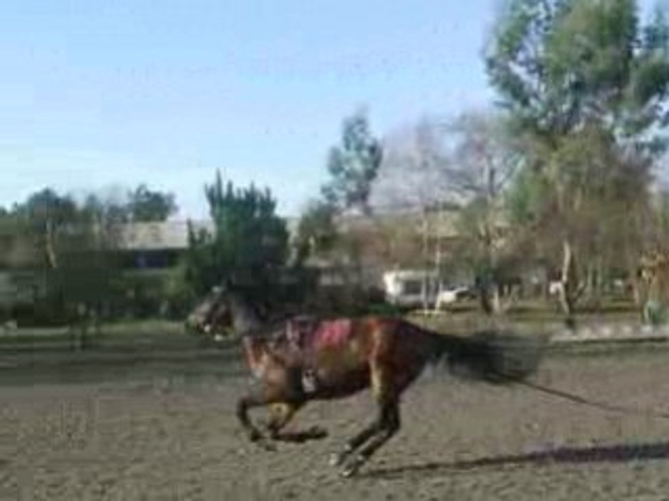 2005_0114BALY0004