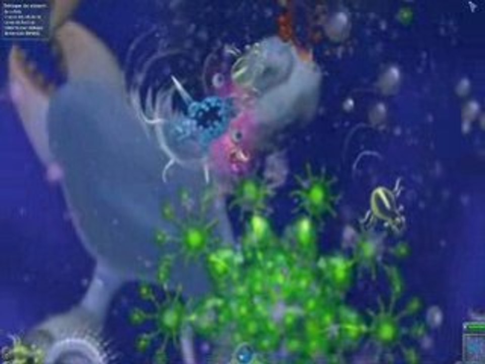 SPORE phase cellulaire