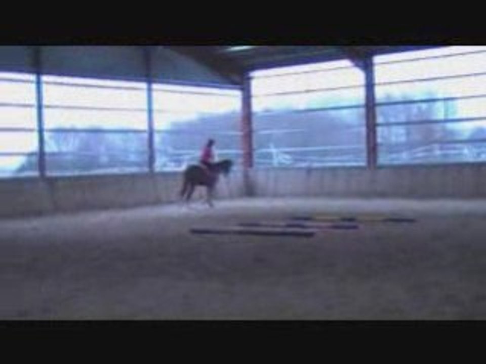 Liloute, retour de vacance