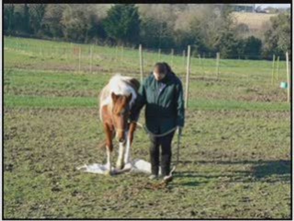 Montage Rêve Idéal - 2008