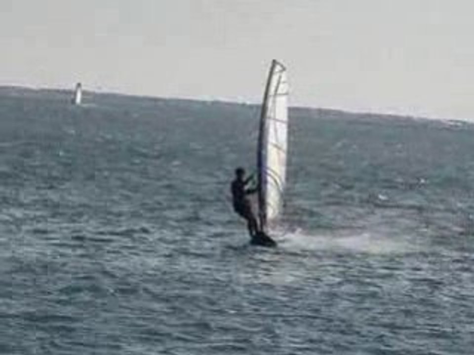 Fin 2008