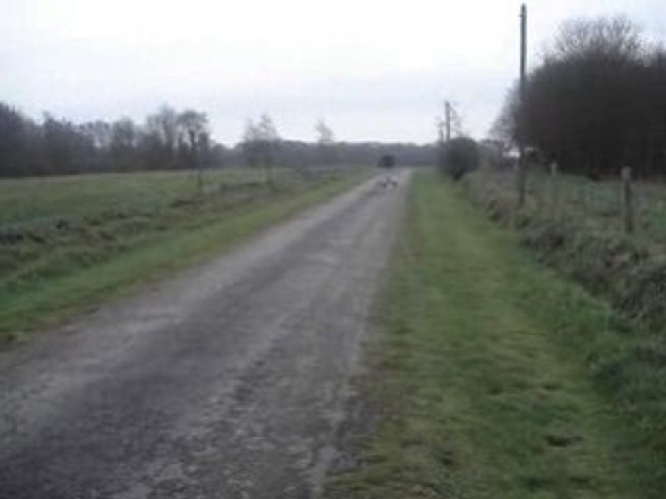 Pas facile le roller