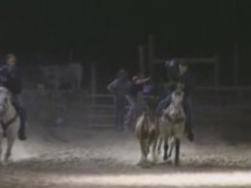 Team Roping - North Carolina