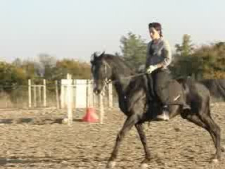 MOV09265