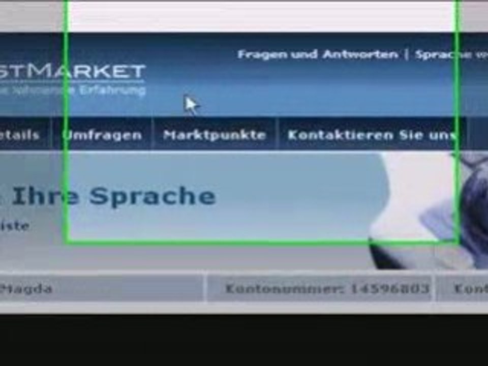 Geld verdienen mit free online surveys...