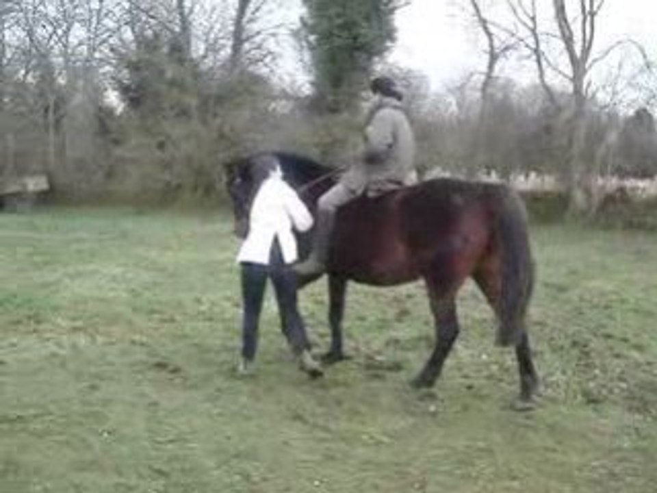 Hop, à cru sur la morue!