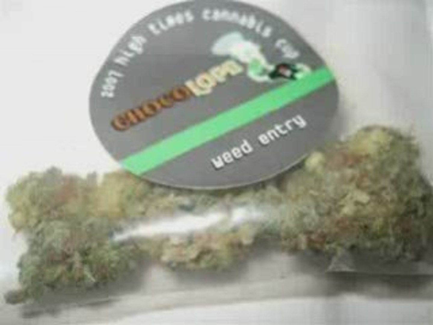 Cannabis Cup