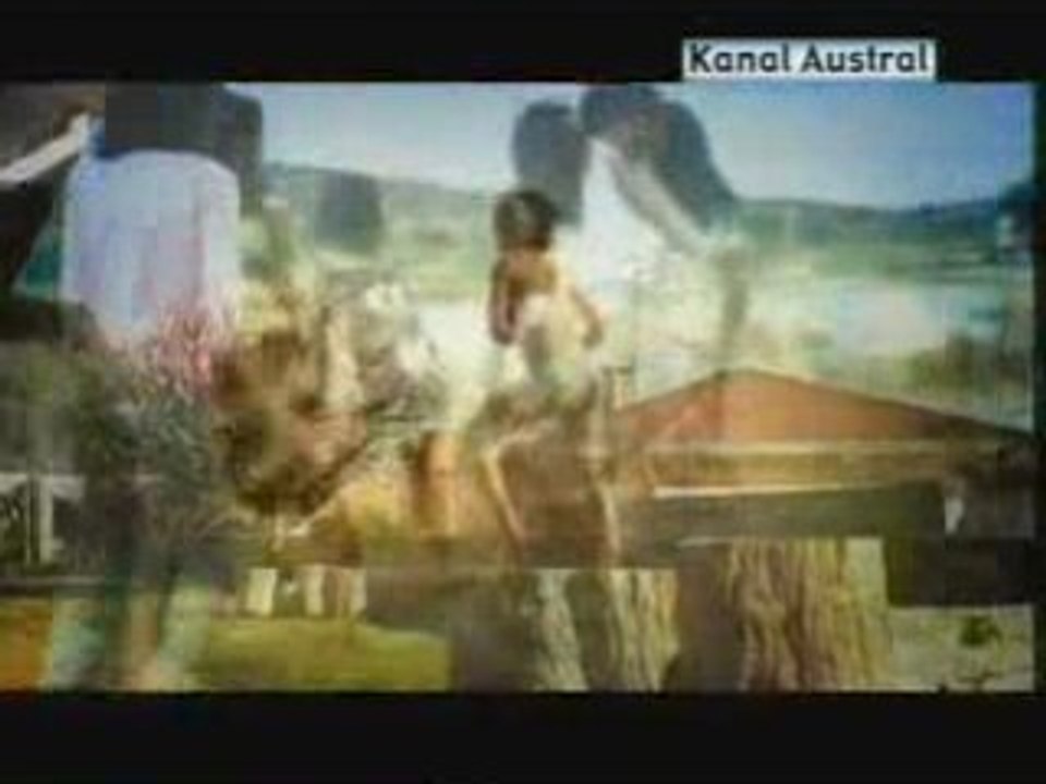 Dhalia saramba voabaraka