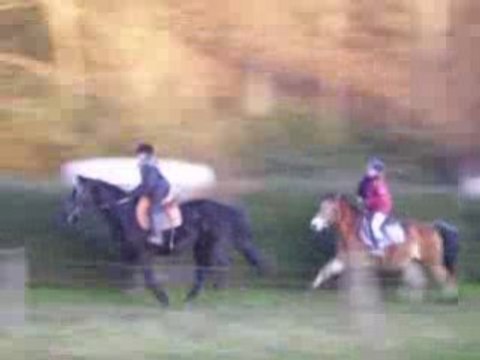 Anais et Charlene, galop en forêt