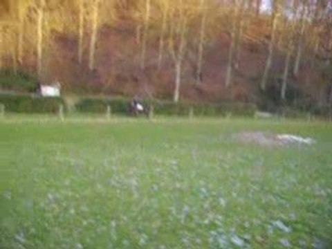 Audrey et Moi, galop en fôret