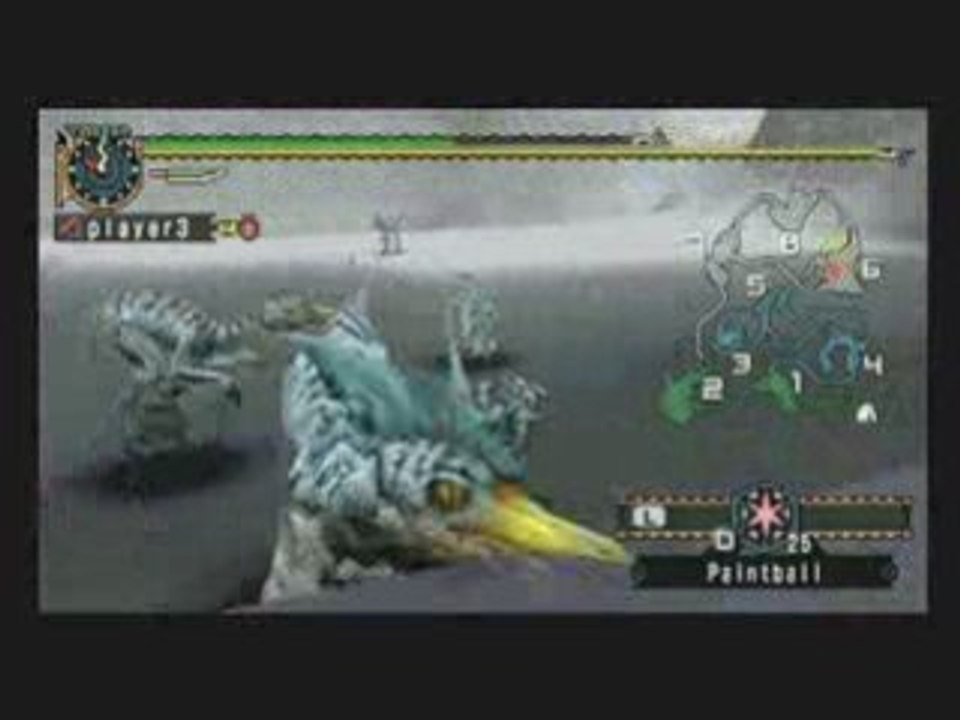 Monster Hunter 2 Gameplay 4