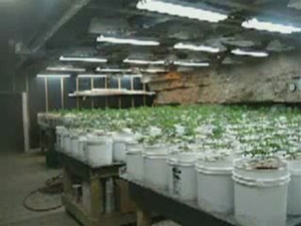 Indoor Grow Underground