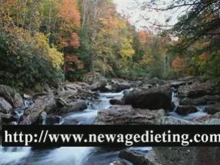 metabolism diet