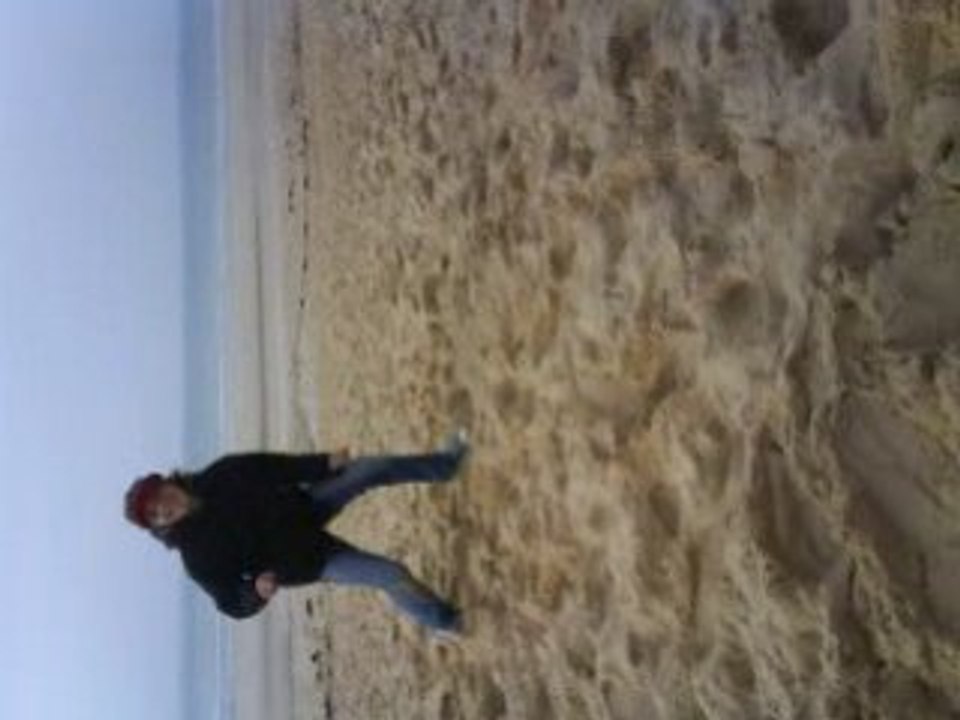 la danse des canards remic