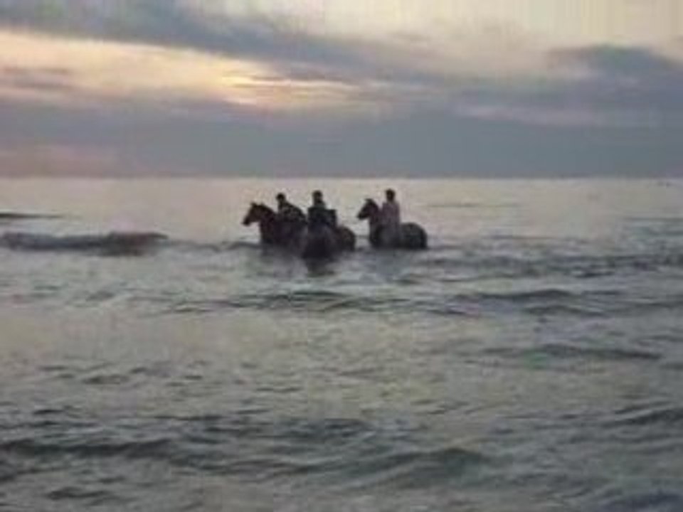 La mer