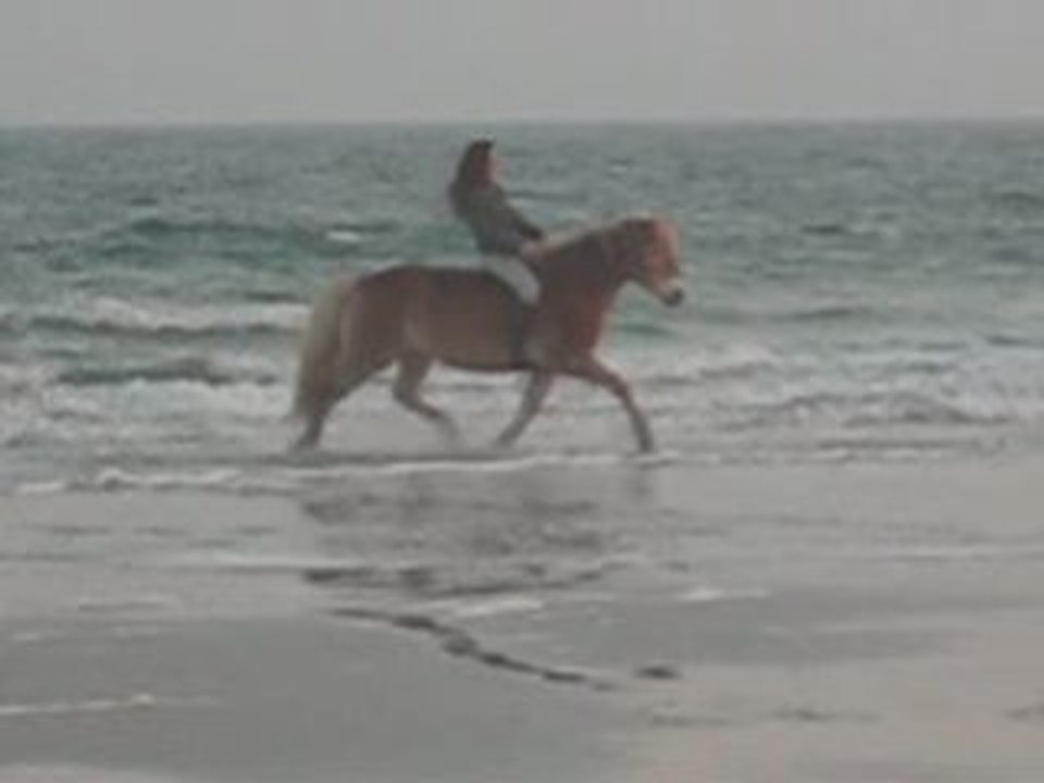2008
