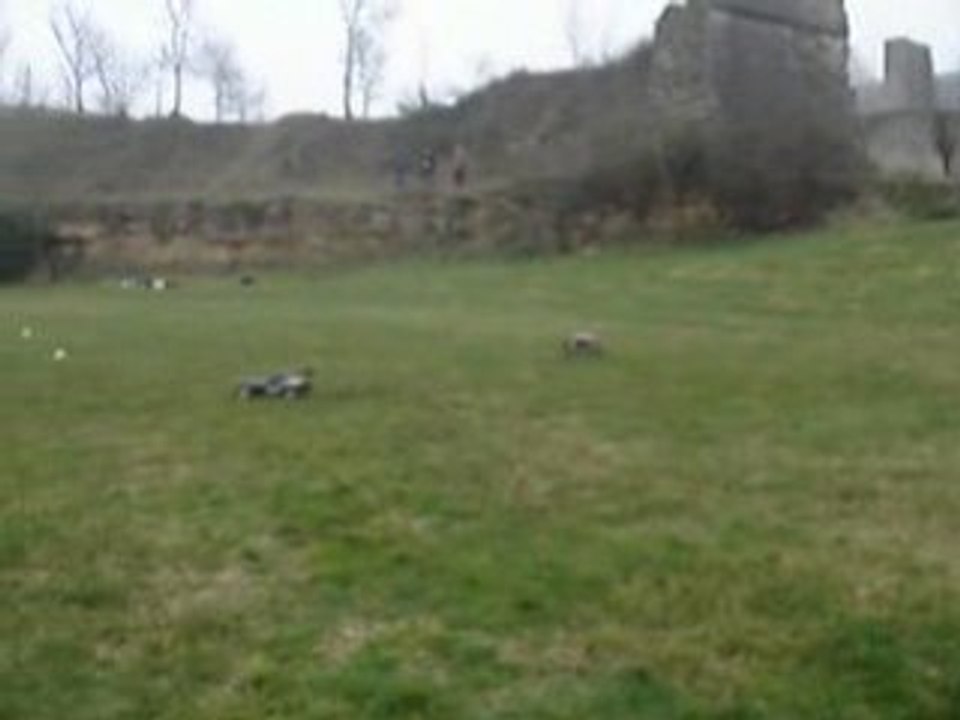 Les Blayais du 30-12-2008