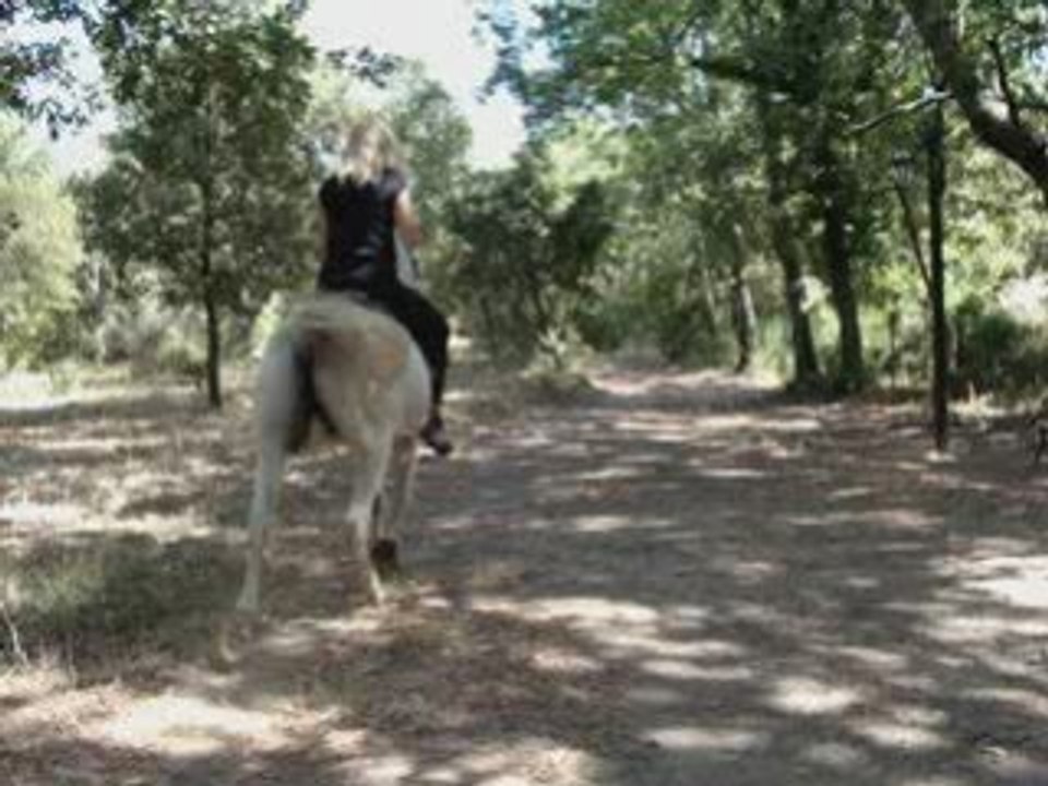 Le 6 10 2008 fabéa et mubarek