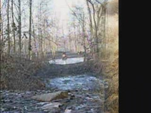 mon 1er montage vidéo quad