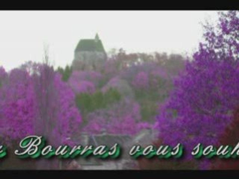 Voeuxgb2009