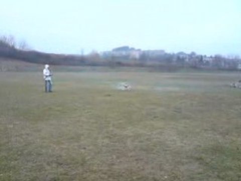 Vol en helico 02/01/2009 raptor 30