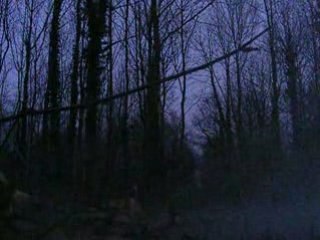 Effets de la Carbo-glace