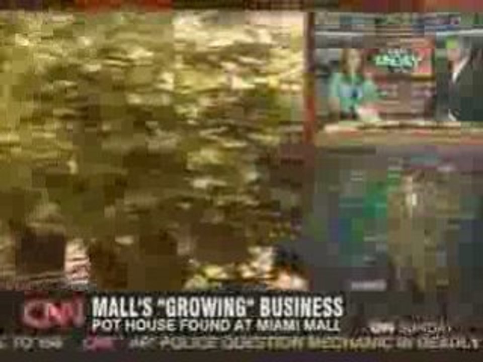 Indoor grow in Mall