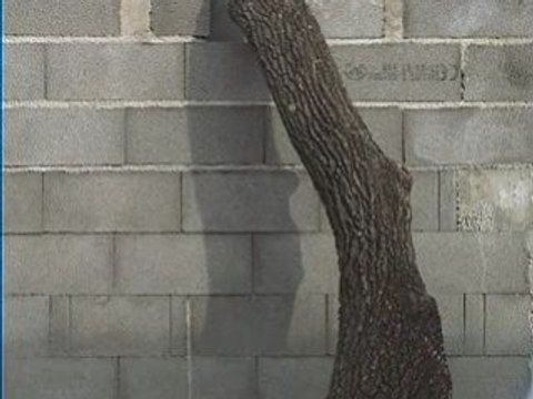 Arbre parpaing père