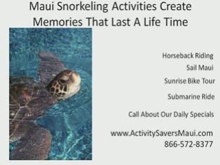 Maui Discount Activities