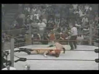 The Best Finisher Ever:The Canadian Destroyer