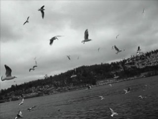 Erkan Oğur-İsmail H Demircioğlu - can ellerinden gelmişem