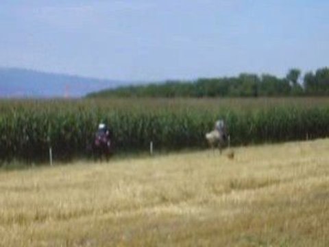 Tigrou sur Pépette et moi sur Big Ben. Galop