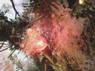 La magie des lumières