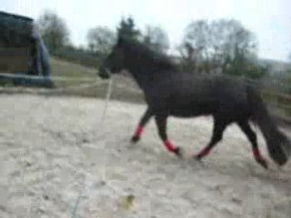 ma juju qui force pas