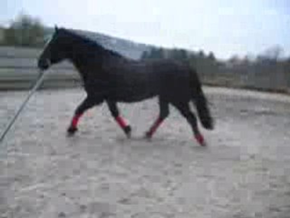 ma juju qui force deja plus et saute lol