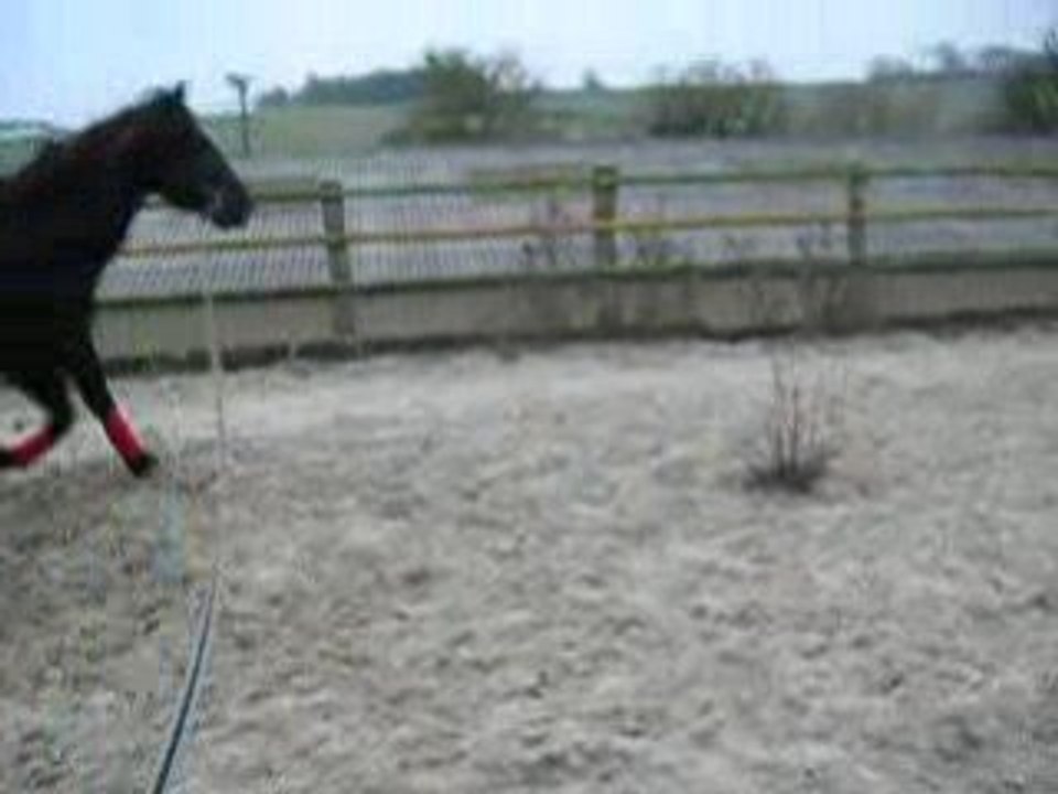 ma juju qui passe les tono