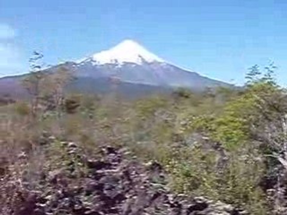 LA PLUS BELLE MEDICINE DE LA TERRE POUR MES AMIS