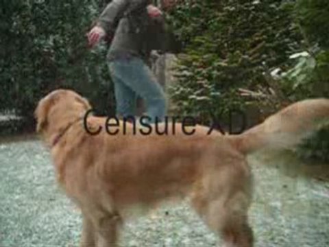 Sonic.be : Jumpstyle hardjump (test)