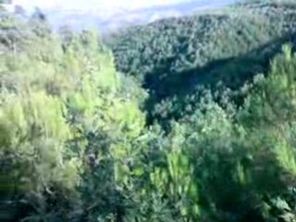 oluklu köyü niksar