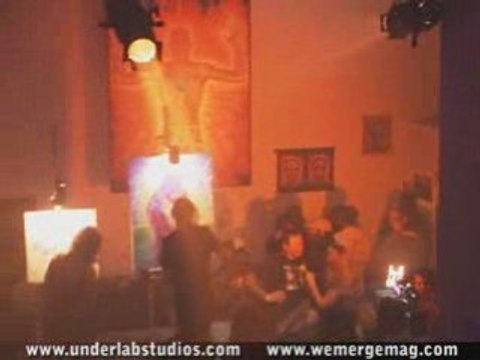 Art Basel 2008 - Alex Grey Exhibit - Interview with a Master