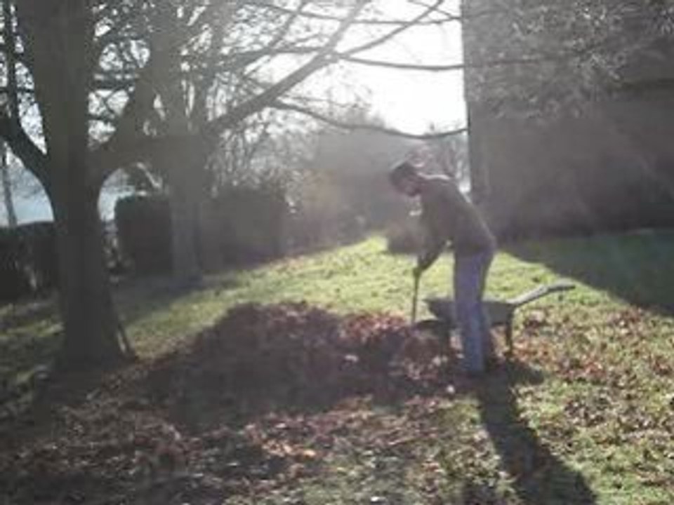 Attaque dans le jardin