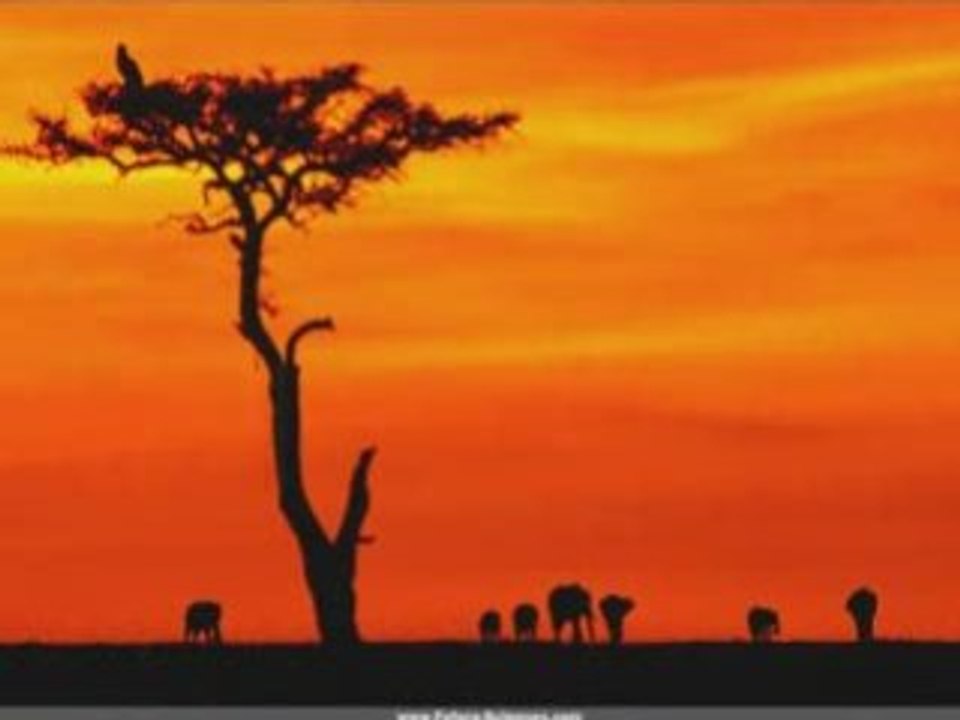 MAGNIFIQUE DOU'AAS --- A Ecouter !frere-fillah75,coran,imam