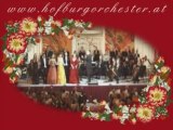 Concierto de Año Nuevo de Viena - Wiener Hofburg Orchester