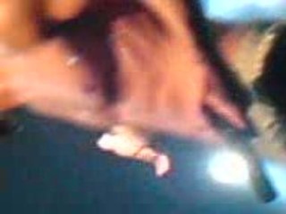 Zebrahead 19/11/08 Marseille